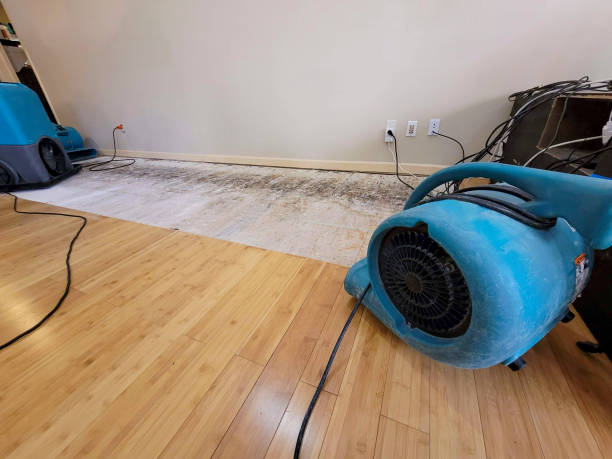 Professional Flood Damage Cleanup technician working in Newcastle, UT